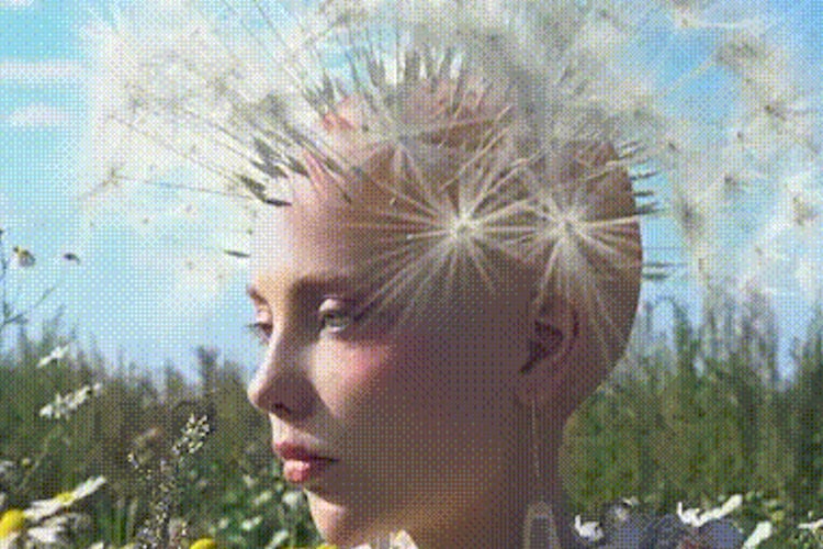 NFTs: Here Are Our Top Stories of the Week