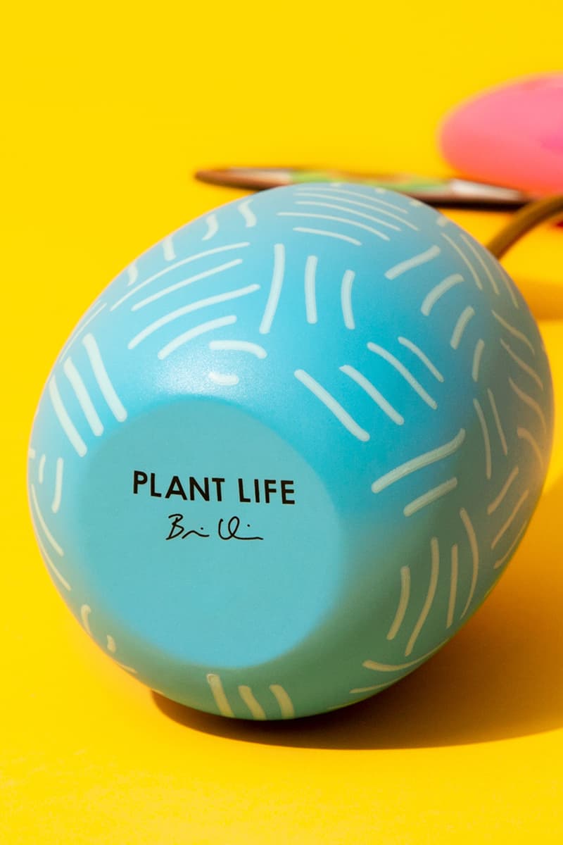 AllRightsReserved MEET Brian Calvin PROJECT release Info plant life arr