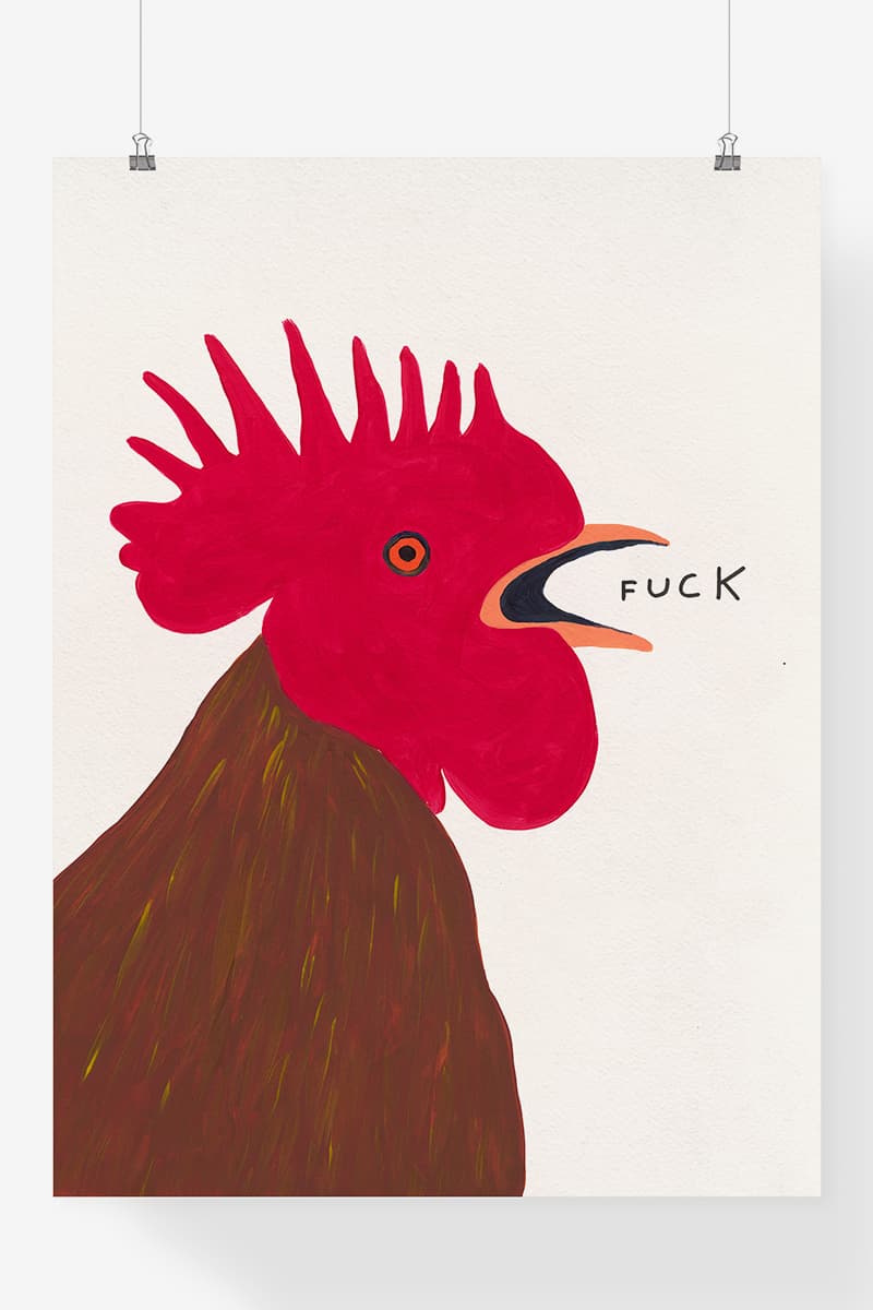 AllRightsReserved MEET David Shrigley’s April Fool PROJECT VOL 2 release info arr