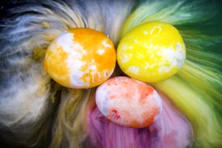 YouTube Photographer and Videographer Captures the Mesmerizing Dissolution of M&Ms