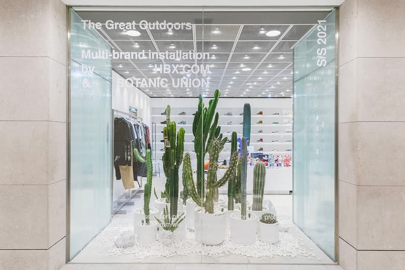 HBX Landmark Botanic Union pop up info cacti cactus succulents plants Hong Kong Plants home green aloe pottery