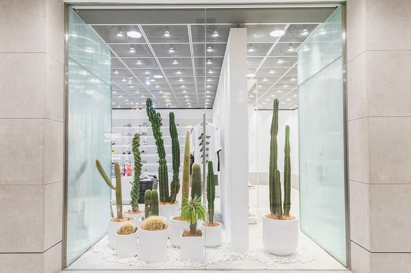 HBX Landmark Botanic Union pop up info cacti cactus succulents plants Hong Kong Plants home green aloe pottery 