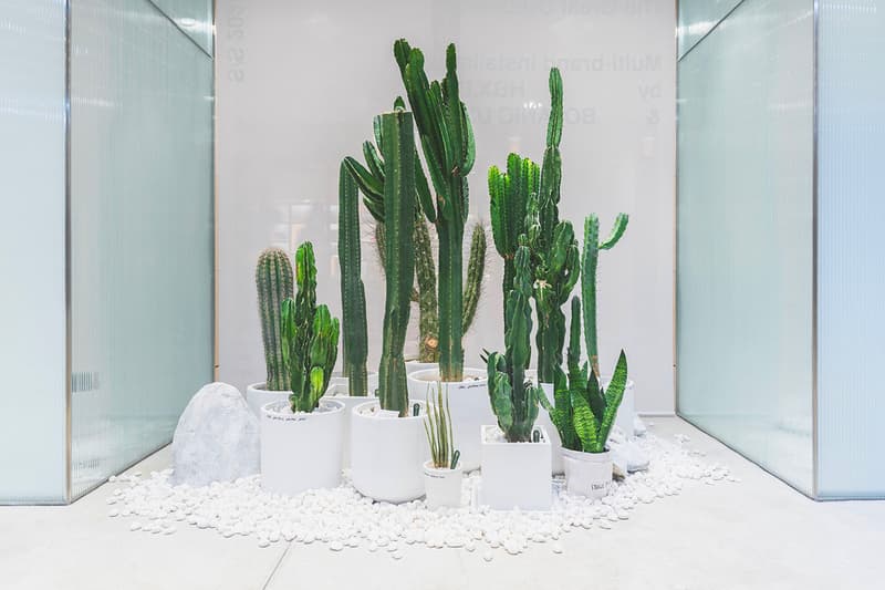 HBX Landmark Botanic Union pop up info cacti cactus succulents plants Hong Kong Plants home green aloe pottery 