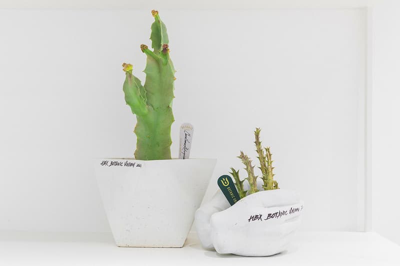 HBX Landmark Botanic Union pop up info cacti cactus succulents plants Hong Kong Plants home green aloe pottery 