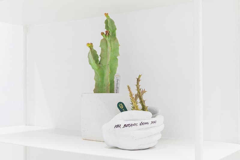 HBX Landmark Botanic Union pop up info cacti cactus succulents plants Hong Kong Plants home green aloe pottery