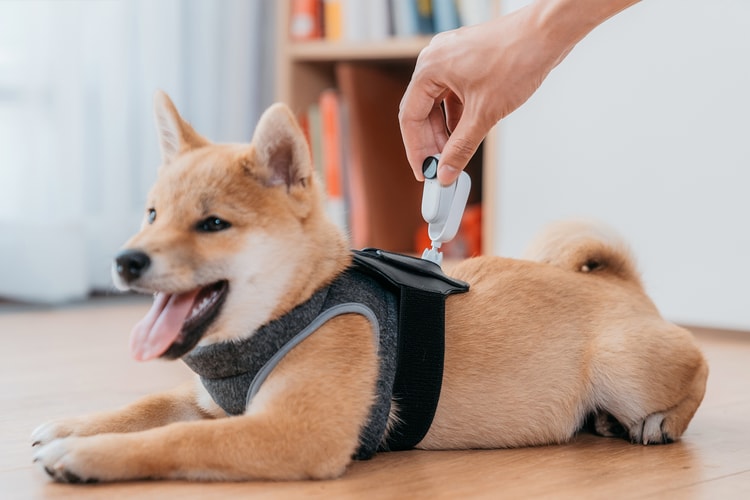 Insta360's GO 2 Is the World's Smallest Action Cam