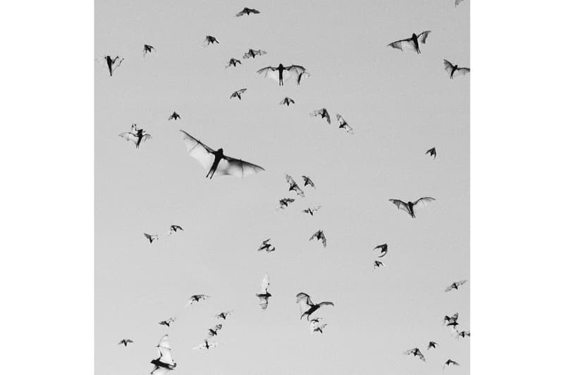 magnum photos square print sale photography
