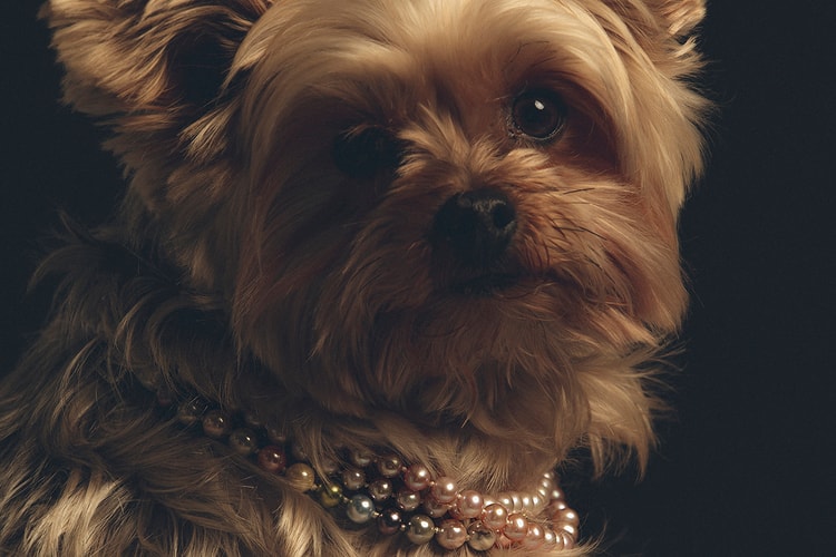 POLITE WORLDWIDE Proves 2021 Is the Year of Everyone (and Everything) Wearing Pearls