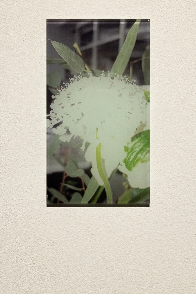 POST ARCHIVE FACTION Final Cut Exhibition Inside Look Arario Gallery Info