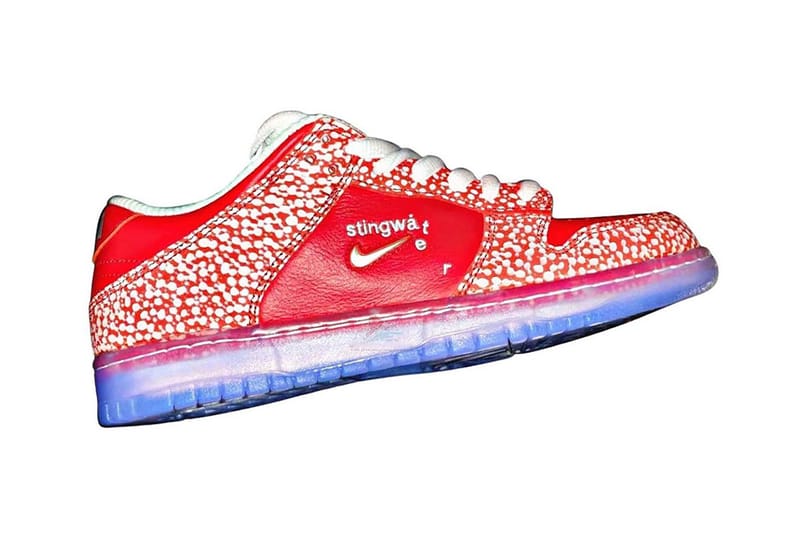 nike dunk low stingwater x