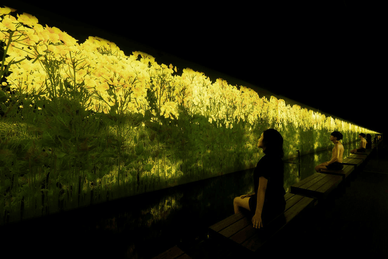 teamlab rinkan sauna immersive experience