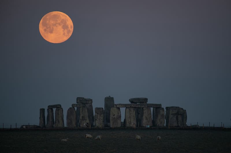 First 'Pink' Supermoon Lit Up The Sky On Monday 2021 outer space NASA