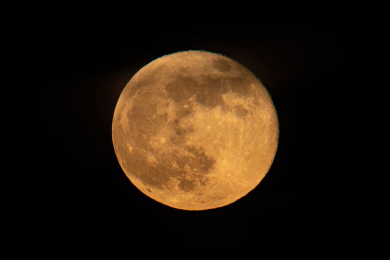 First 'Pink' Supermoon Lit Up The Sky On Monday 2021 outer space NASA