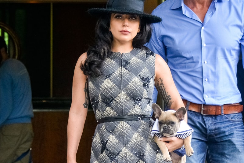 Five Suspects Were Arrested in the Lady Gaga Dognapping Case, Including Woman Who Returned Dogs LAPD