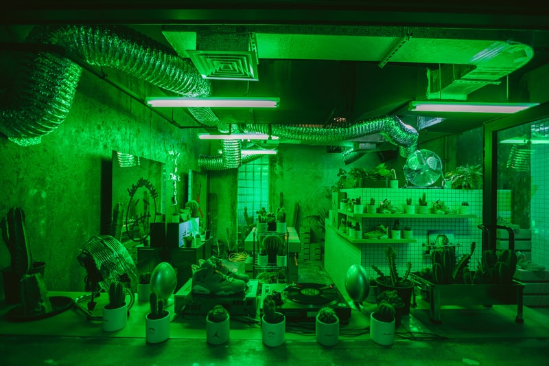 amongst few AL AMONGST FEW CACTUS LLC Cactus Jack Travis Scott Air Jordan 6 "British Khaki" UAE United Arab Emirates Cacti Grow House Installation Release Information