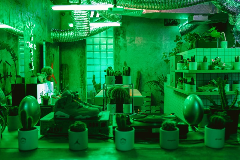 amongst few AL AMONGST FEW CACTUS LLC Cactus Jack Travis Scott Air Jordan 6 "British Khaki" UAE United Arab Emirates Cacti Grow House Installation Release Information