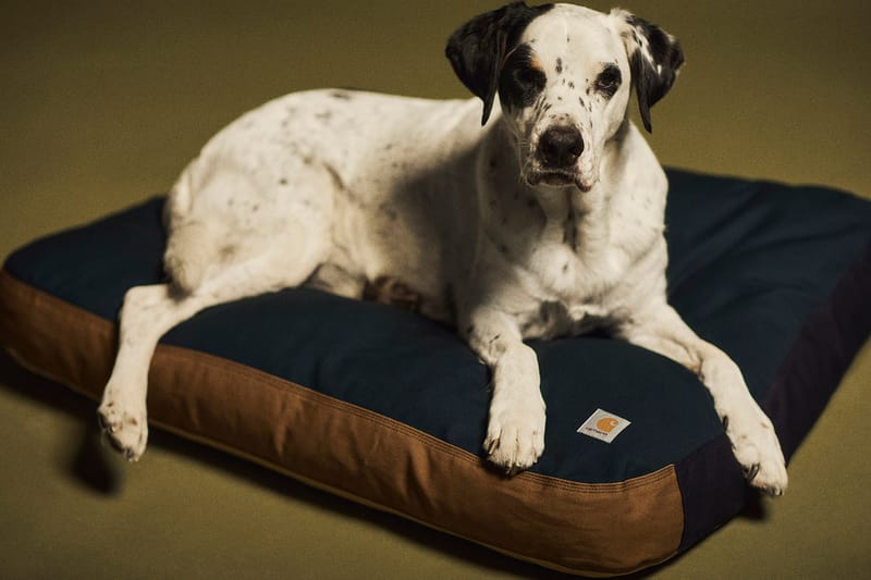 Carhartt WIP Launches Valiant Program With Dog Bed and Spalding Basketball