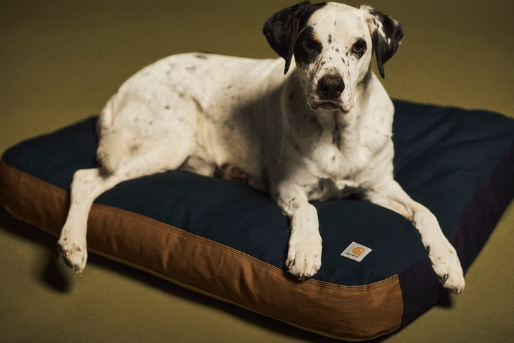 Carhartt WIP Launches Valiant Program With Dog Bed and Spalding Basketball