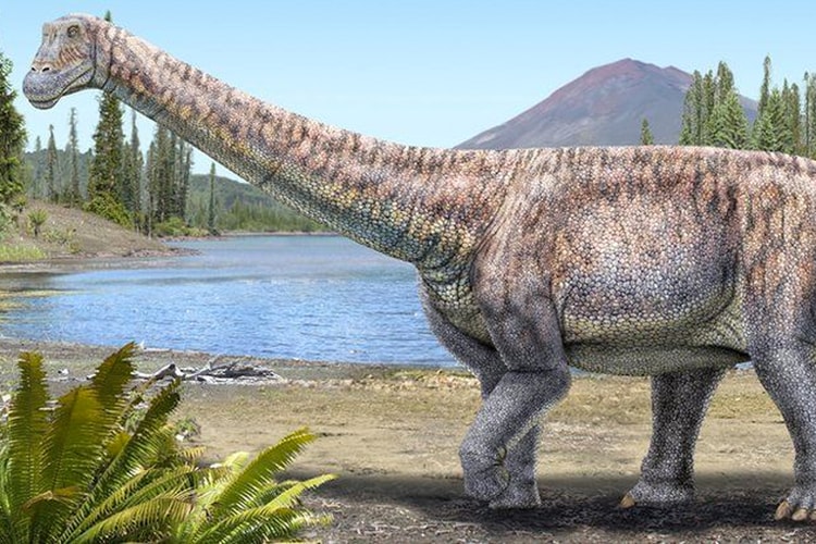 Chilean Scientists Discover New Dinosaur Species in the World's Driest Desert