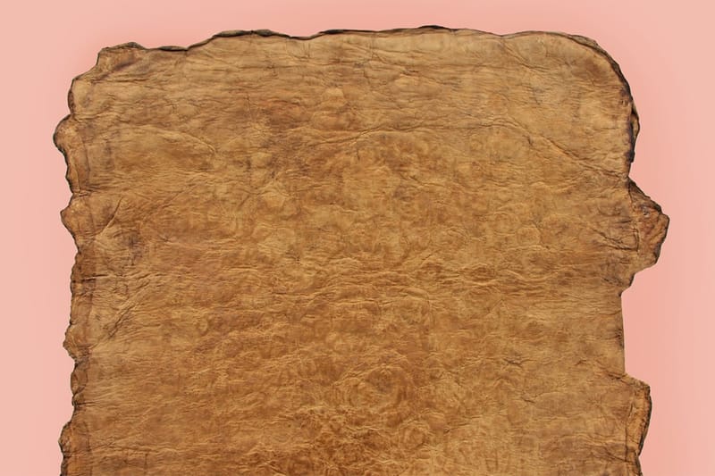 Mushroom Leather Producer Ecovative Raises $60 Million USD in Series D Funding