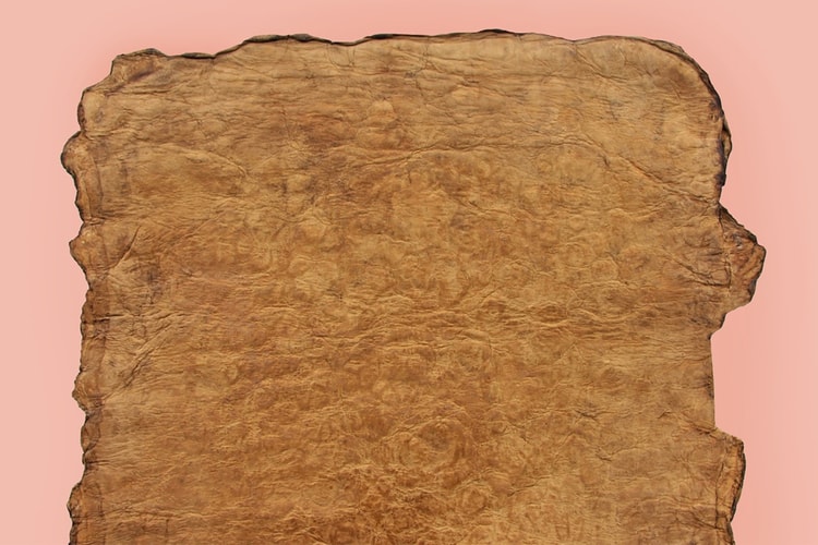 Mushroom Leather Producer Ecovative Raises $60 Million USD in Series D Funding