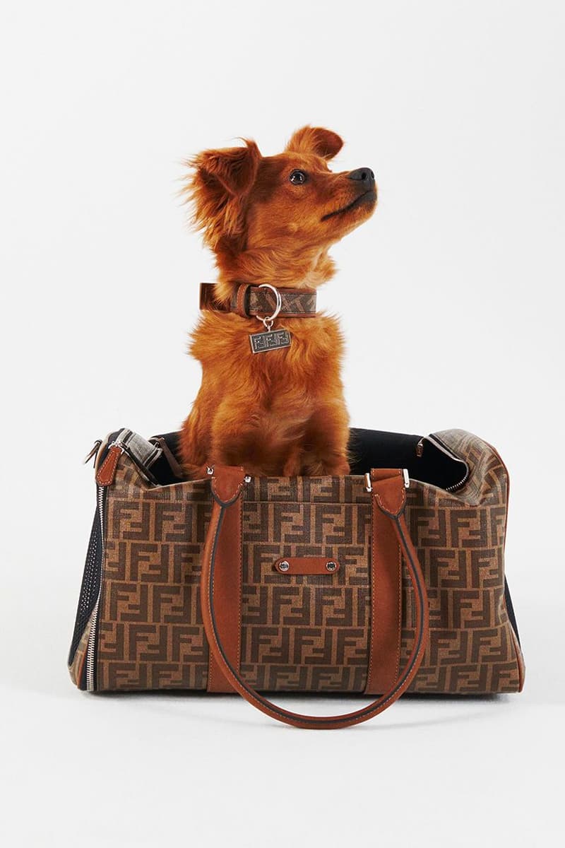 Fendi Launches Pets Accessories Collection Rome italy luxury fashion fendi pet travel line FF logo dog cat silvia venturini fendi kim jones