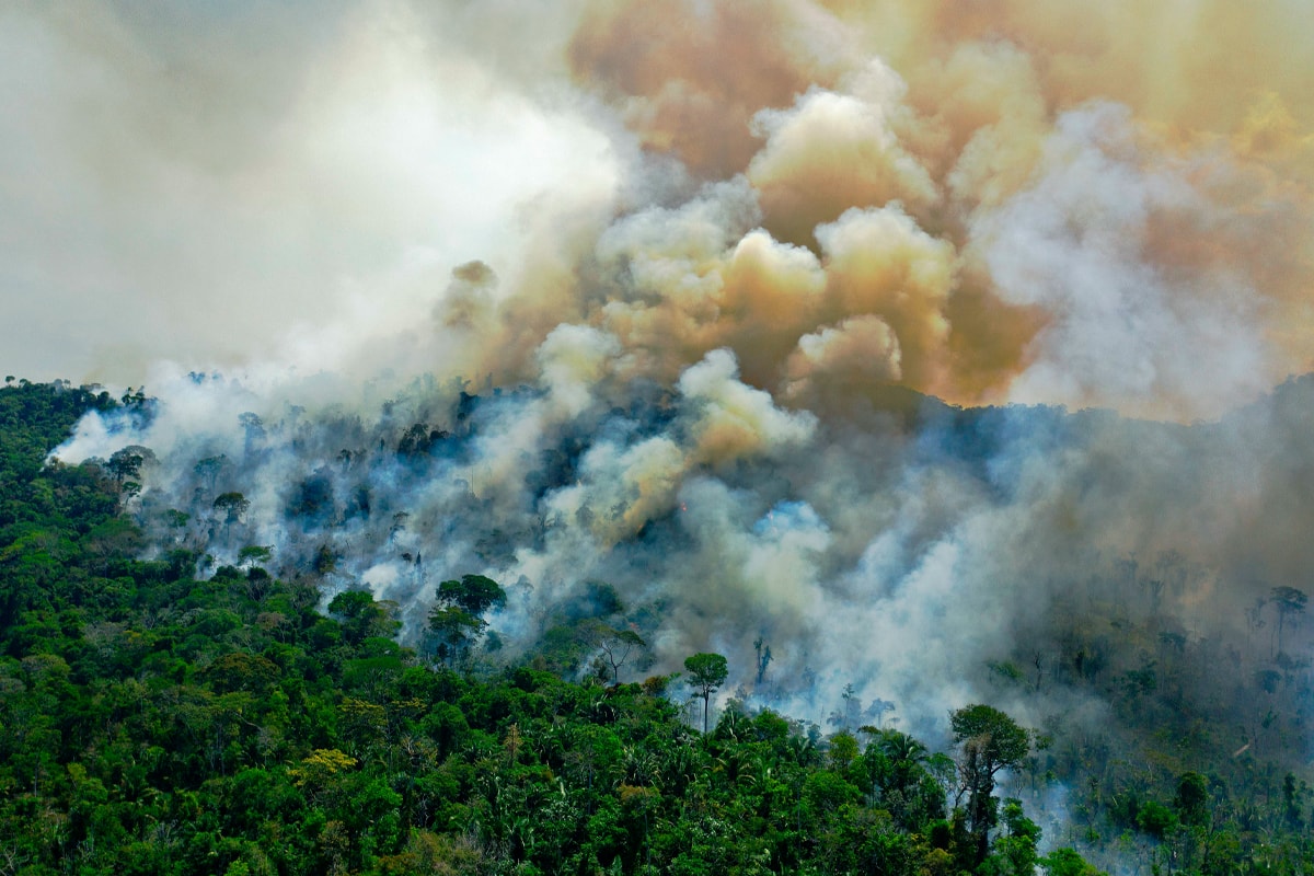 Reports Indicate That Humans Have Destroyed 97% Of the Earth's Ecosystem global warming sustainability forest fires ice cap melting arctic amazon fire brazil 