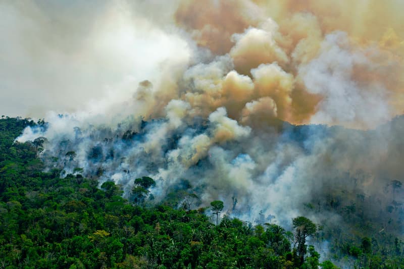 Reports Indicate That Humans Have Destroyed 97% Of the Earth's Ecosystem global warming sustainability forest fires ice cap melting arctic amazon fire brazil