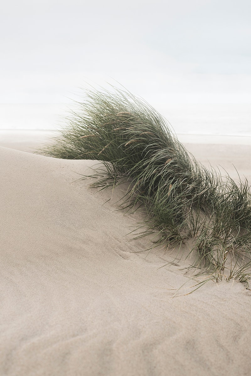 Laura Brandenburg Bilde Seche Studio New Wave Ege Carpets Rugs Danish Luxury Minimal Modern Homeware Beach Sand