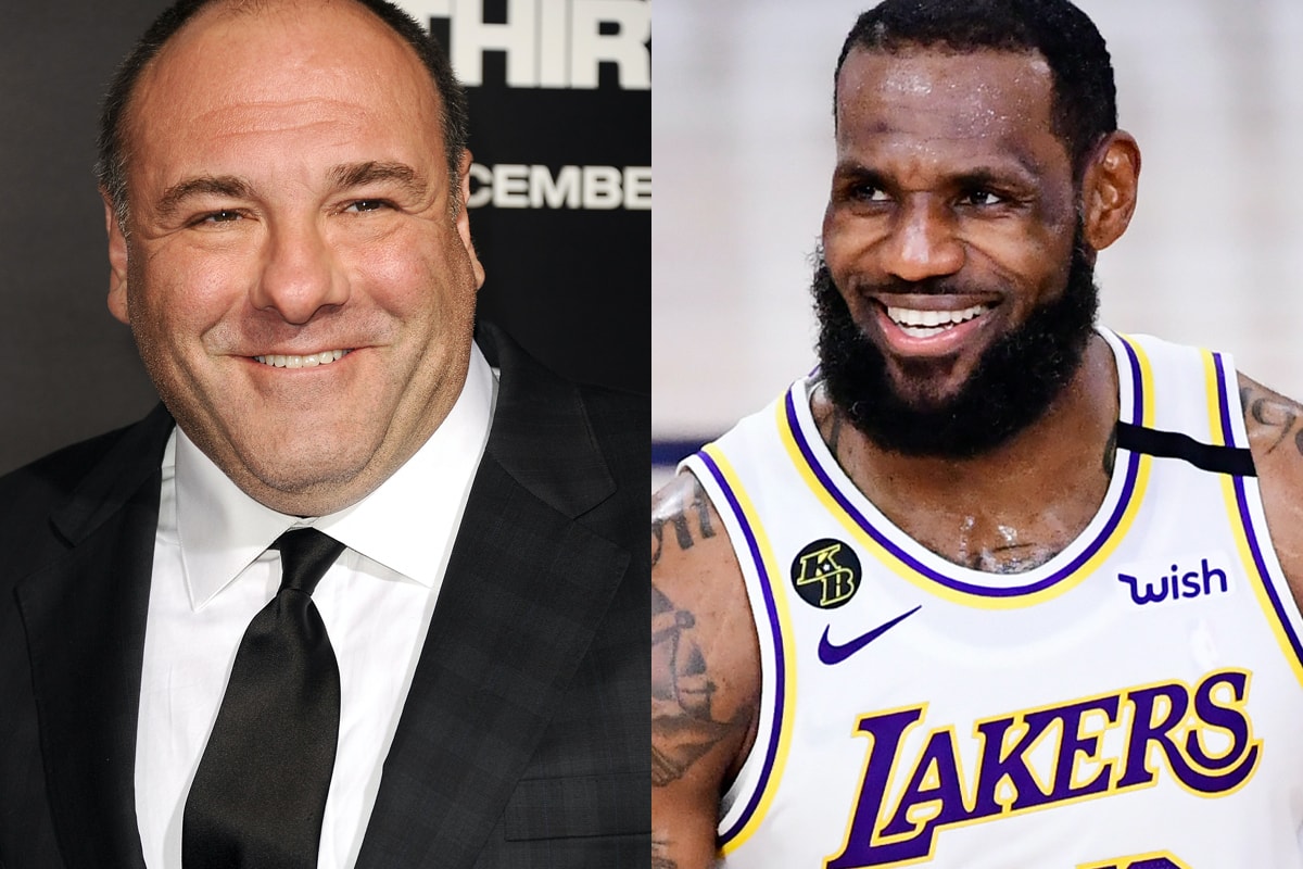 New Details Have Emerged Regarding the Knicks' 2010 Pitch to LeBron James James Gandolfini Tony Soprano Los Angeles Lakers NBA basketball 