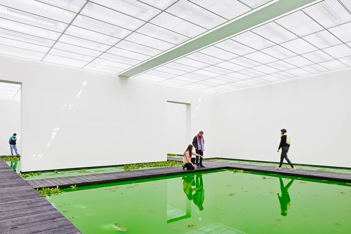 Olafur Eliasson Floods Museum for His Latest 'Life' Exhibit Fondation Beyeler Art Museum Tate Modern Danish-Icelandic Swiss city of Basel Switzerland 