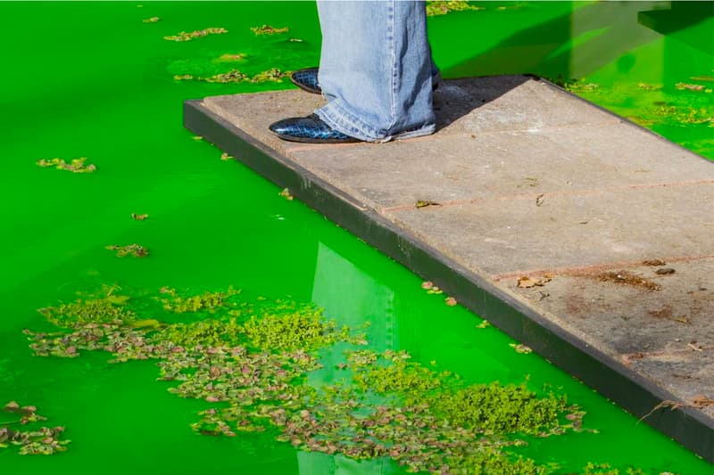 Olafur Eliasson Floods Museum for His Latest 'Life' Exhibit Fondation Beyeler Art Museum Tate Modern Danish-Icelandic Swiss city of Basel Switzerland