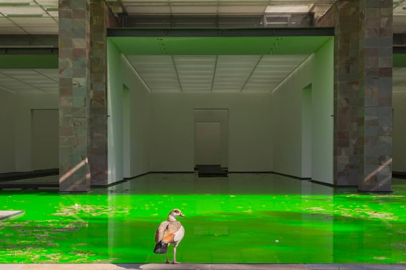 Olafur Eliasson Floods Museum for His Latest 'Life' Exhibit Fondation Beyeler Art Museum Tate Modern Danish-Icelandic Swiss city of Basel Switzerland 