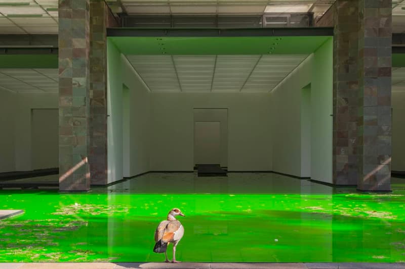 Olafur Eliasson Floods Museum for His Latest 'Life' Exhibit Fondation Beyeler Art Museum Tate Modern Danish-Icelandic Swiss city of Basel Switzerland