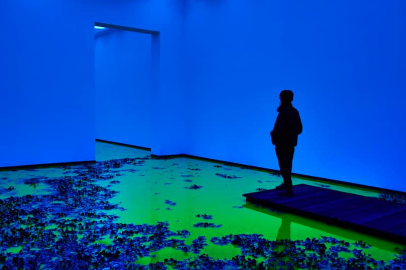 Olafur Eliasson Floods Museum for His Latest 'Life' Exhibit Fondation Beyeler Art Museum Tate Modern Danish-Icelandic Swiss city of Basel Switzerland 