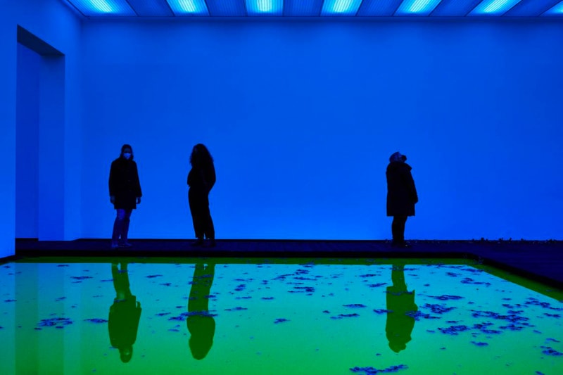 Olafur Eliasson Floods Museum for His Latest 'Life' Exhibit Fondation Beyeler Art Museum Tate Modern Danish-Icelandic Swiss city of Basel Switzerland 