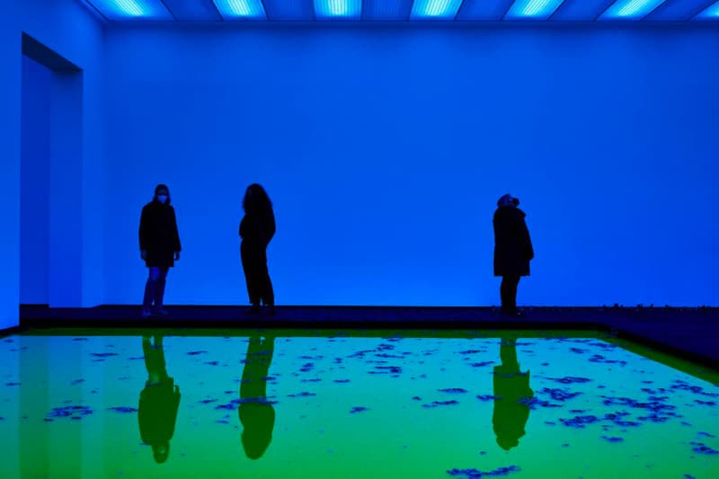 Olafur Eliasson Floods Museum for His Latest 'Life' Exhibit Fondation Beyeler Art Museum Tate Modern Danish-Icelandic Swiss city of Basel Switzerland