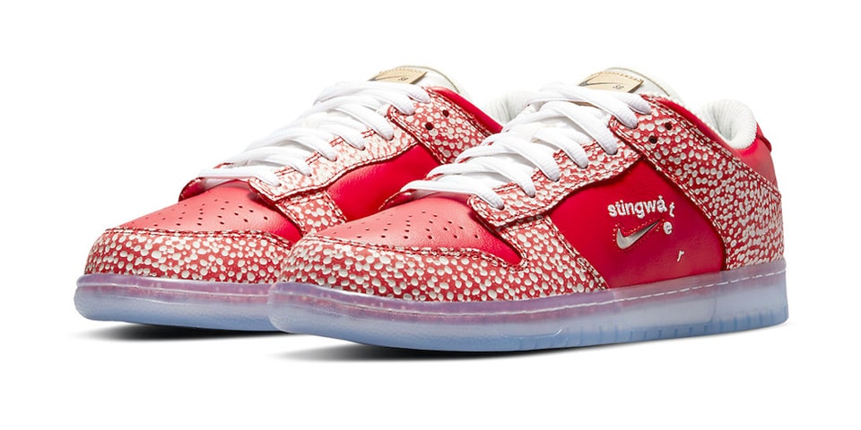 Stingwater x Nike SB Dunk Low 