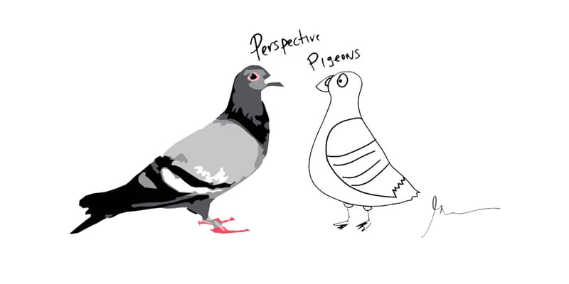jeff staples pigeon