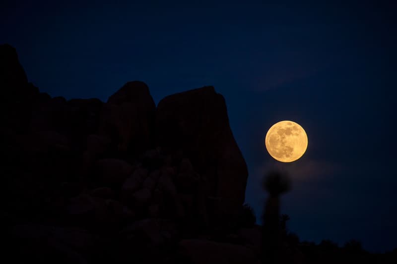 Take a Look at the Rare “Super Flower Blood Moon” From United States South America Asia Australia lunar eclipse blood moon supermoon NASA space 