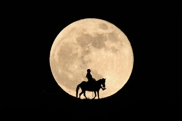 Take a Look at the Rare 'Super Flower Blood Moon' From Around the World