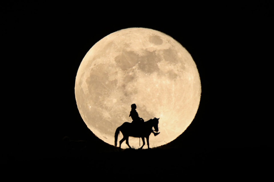 Take A Look At The Rare Super Flower Blood Moon Hypebeast Take A Look At The Rare Super Flower Blood Moon Hypebeast