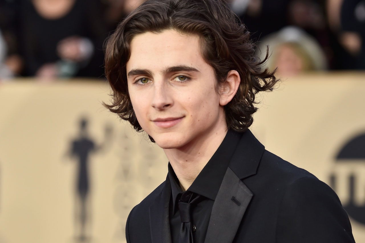 Timothée Chalamet Young Willy Wonka Warner Bros. Origin Film Roald Dahl Story Co charlie and the chocolate factory new movie