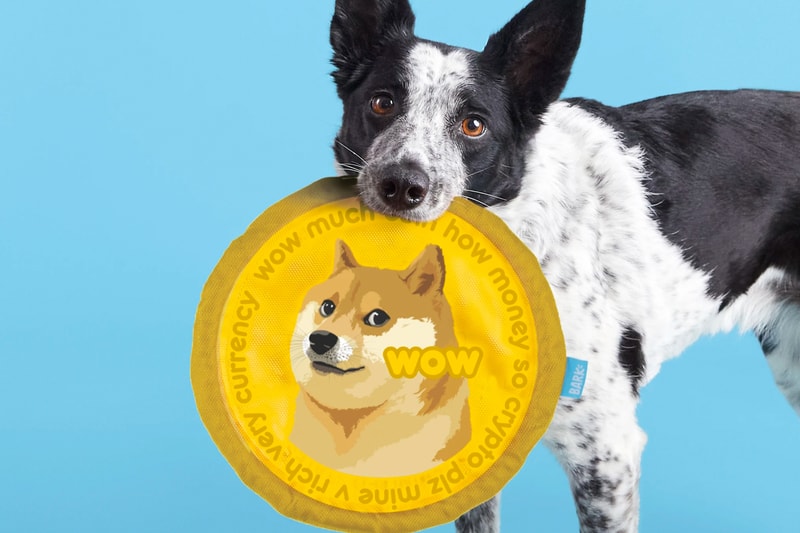BARK Dogecoin Cogedoin Frisbee Release Info Buy Price Dog Cryptocurrency
