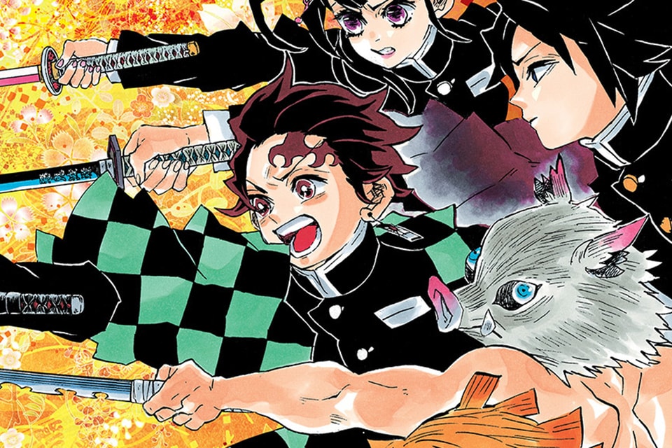 VIZ  Read a Free Preview of Demon Slayer: Kimetsu no Yaiba, Vol. 1