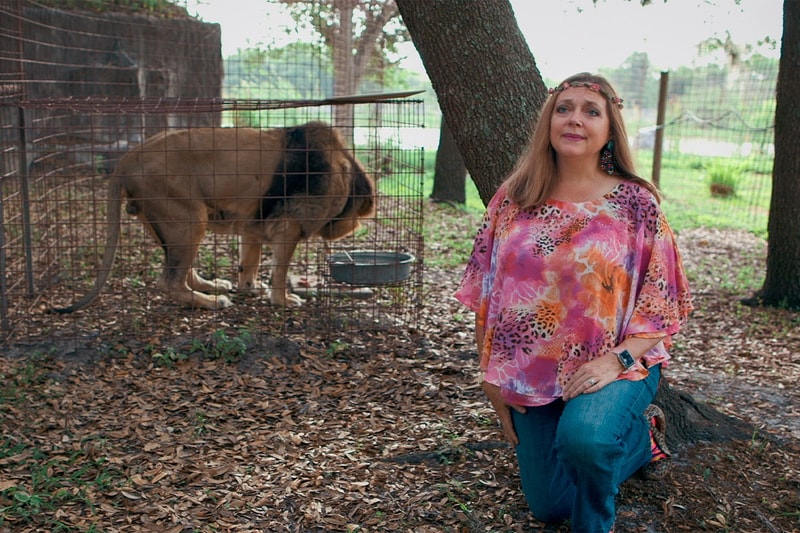 Carole Baskin Tiger King $CAT Cryptocurrency Purrency Currency Digital Coins Ethereum Dogecoin CumRocket 