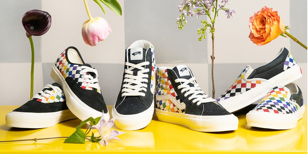vault-by-vans-pride-pack-slip-  display picture 3