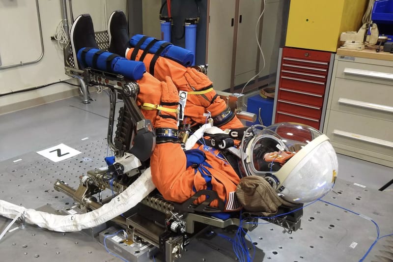 NASA Wants You To Help Name Its Non-Human Artemis I Passenger