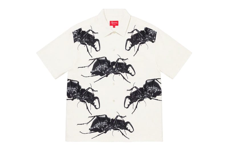 supreme beetle shorts