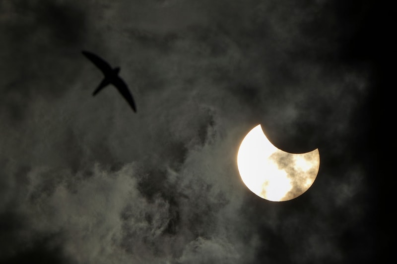 Take a Look at the June "Ring of Fire" Solar Eclipse images pictures Moon Sun cosmic occurence